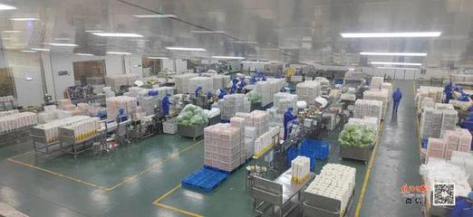 孟州市大定街道 踔厲奮發(fā)新征程，勇毅前行著華章——食品生產(chǎn)高質(zhì)量發(fā)展之路