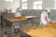 精選肉松批發(fā) 黃金松、原味、辣味、雞肉松一站式供應(yīng)，量大優(yōu)惠包郵